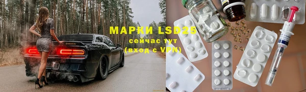 хмурый Алзамай