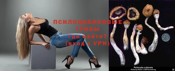 хмурый Алзамай