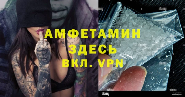 молекула духа Алексеевка