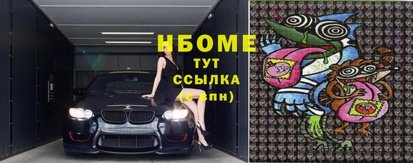 хмурый Алзамай