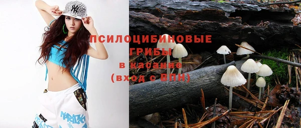 молекула духа Алексеевка