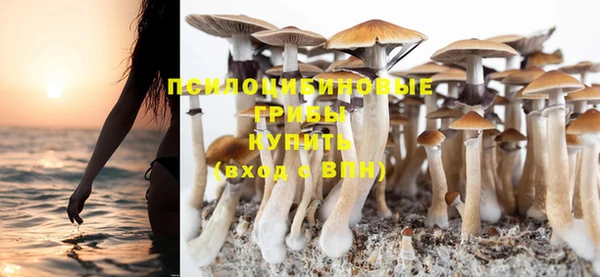 хмурый Алзамай