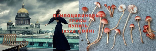 хмурый Алзамай