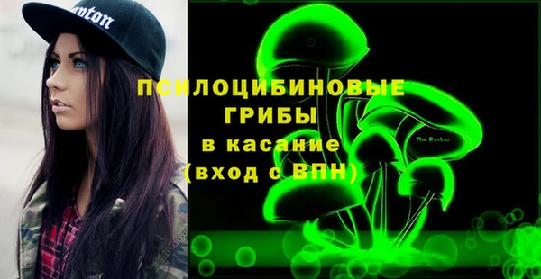 хмурый Алзамай