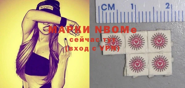 хмурый Алексин