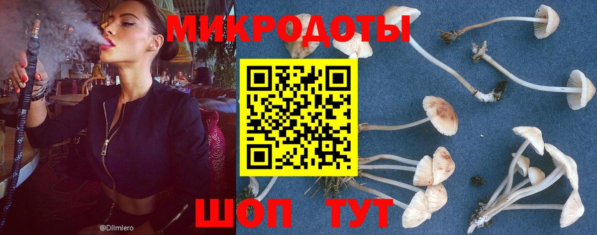 наркотики  Вход с VPN  Сосновый Бор  Псилоцибиновые грибы Magic Shrooms 