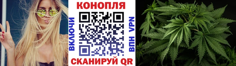 МАРИХУАНА семена Сосновый Бор